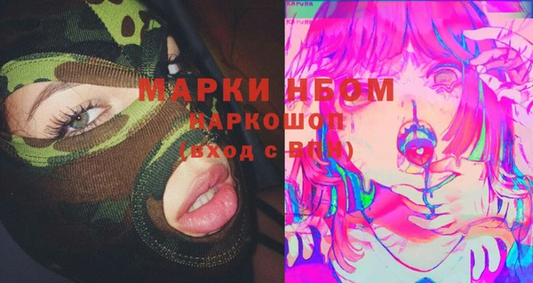 гашик Новозыбков