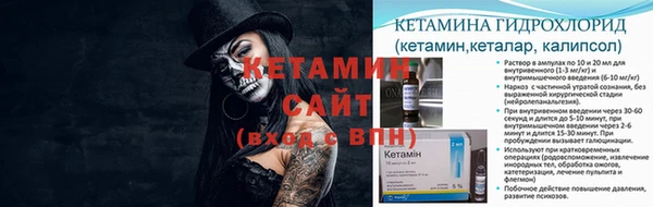 гашик Новозыбков