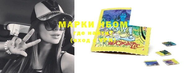 гашик Новозыбков