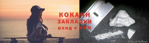 гашик Новозыбков