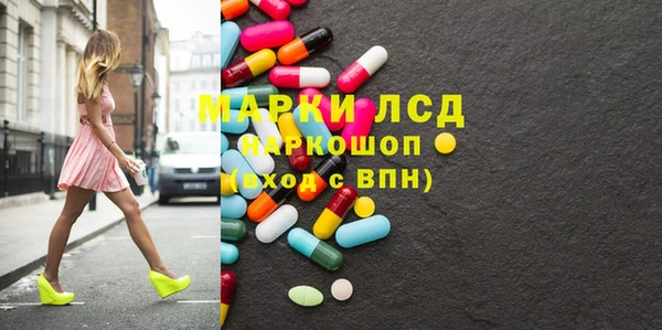 гашик Новозыбков