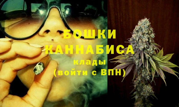 гашик Новозыбков