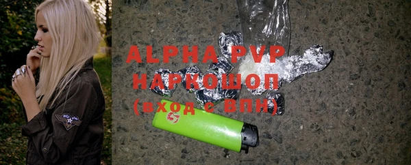 гашик Новозыбков