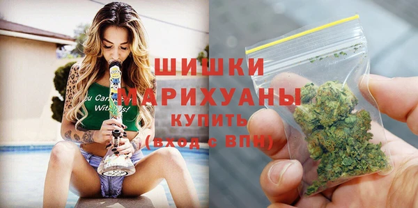 гашик Новозыбков