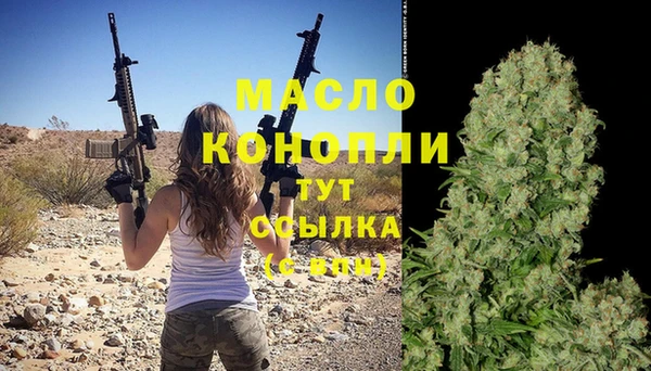 гашик Новозыбков