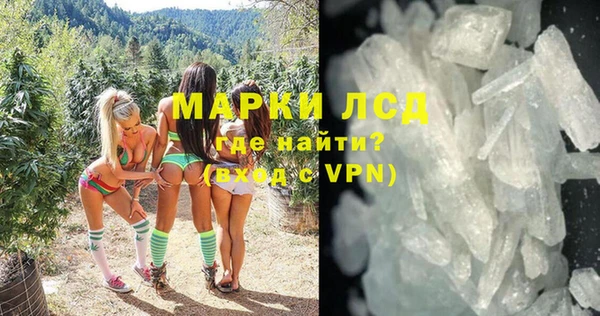 гашик Новозыбков