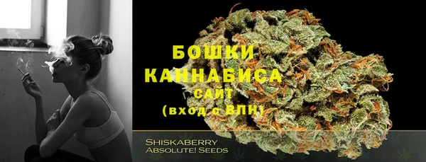 метадон Новодвинск